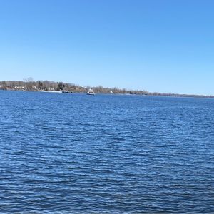 Meet your Posher, George